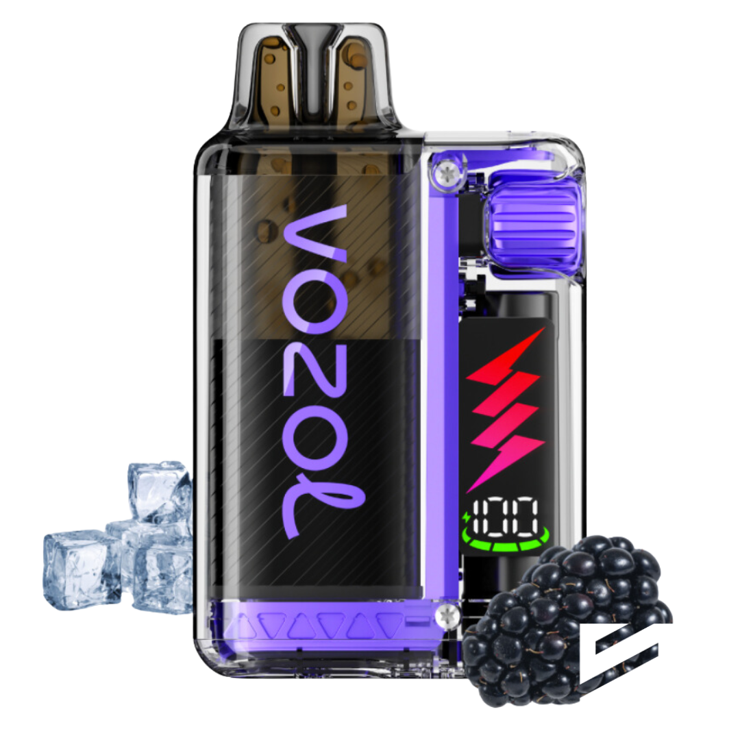 VOZOL Vista Plug 20000 Blackberry Ice