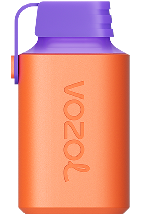 VOZOL Gear 600 Lychee Guva Pastèque